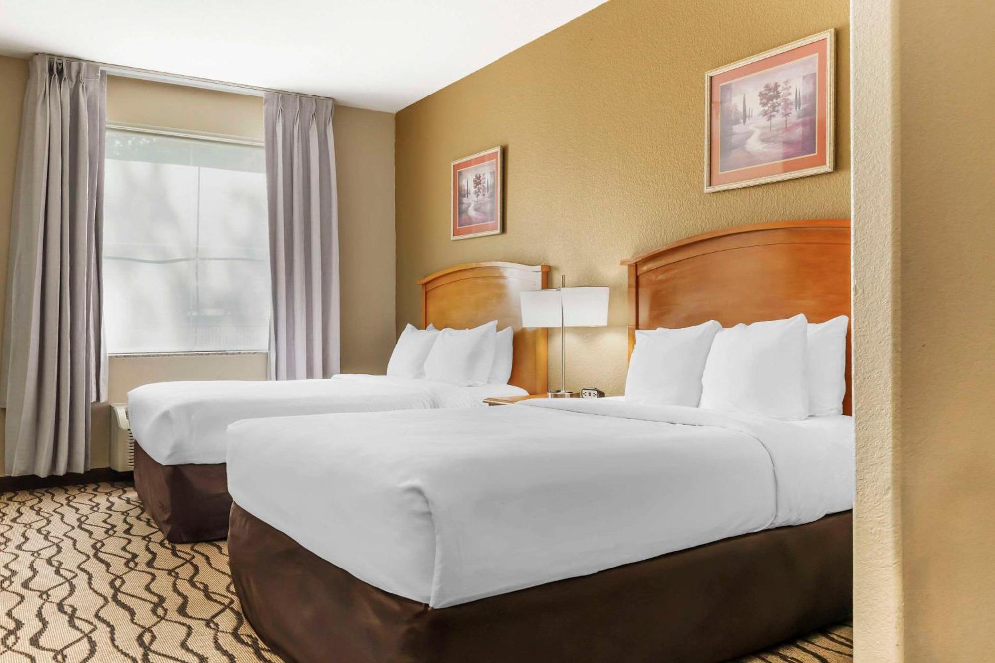 Comfort Inn & Suites Chesapeake - Portsmouth Eksteriør billede